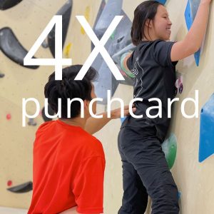 4x Training Punchcard